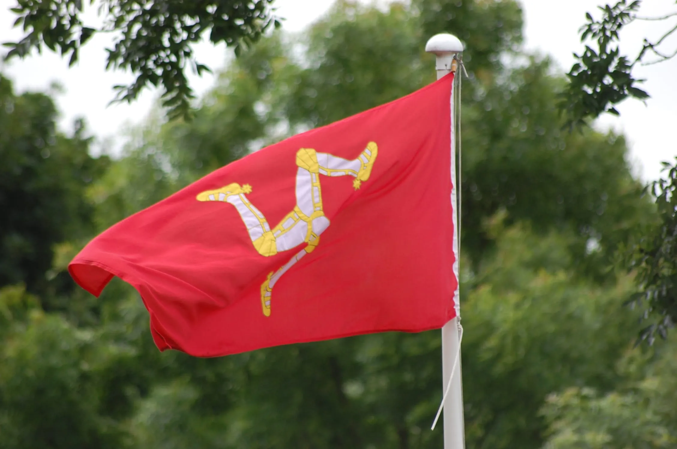 A bandeira de Ilha de Man, figurando uma tríscele composta pelas pernas de
Manannán.